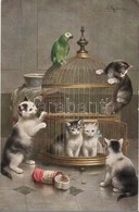 * T2 Cats With Bird Cage And Parrot. TSN Serie 1432. S: Reichert - Zonder Classificatie
