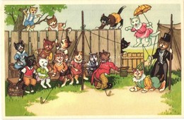 ** T2 Cat Circus. Kunstverlag Adolf Korsch Jun. 53735/8. - Zonder Classificatie