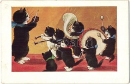 T2 Cats Music Band. A. R. Co. I. B. 1451-III. - Non Classificati