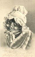 T2/T3 Cat Granny. Emb. Litho (apró Szakadás / Tiny Tear) - Sin Clasificación