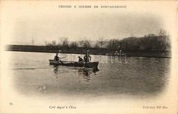 ** T2 Chasses A Courre De Fontainebleau, Cerf Dague A L'Eau /  Deer Hunting, Deer Capturing In The Water - Zonder Classificatie