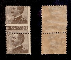 REGNO D'ITALIA - 1908 - 40 Cent Michetti (84md+84me) In Coppia Verticale (vedi Nota Catalogo) - Gomma Originale (integra - Altri & Non Classificati