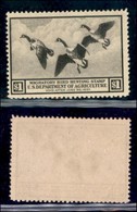 OLTREMARE - STATI UNITI - Dipartimento Agricoltura - 1936 - 1 Dollaro (Scott RW3) - Gomma Integra - Other & Unclassified