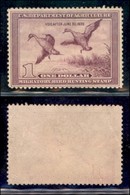 OLTREMARE - STATI UNITI - Dipartimento Agricoltura - 1938 - 1 Dollaro (Scott RW5) - Gomma Originale - Invisibile Traccia - Andere & Zonder Classificatie