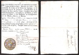 PREFILATELICHE - DOCUMENTI - VARIE - 1746 - Servizio Di S.M. - Passaporto Da Portici Per La Spagna Via Roma Firenze Geno - Other & Unclassified