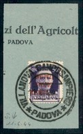 REPUBBLICA SOCIALE - PROVVISORI - 1944 - Verona - Soprastampa Rosso Arancio - 50 Cent (493Ea) Con Soprastampa Capovolta  - Sonstige & Ohne Zuordnung