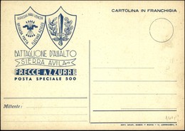 CARTOLINE - FRANCHIGIA MILITARE - Battaglione D'assalto "Sierra Avila" - Frecce Azzurre - Posta Speciale 500 - Nuova FG  - Autres & Non Classés