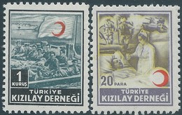 Turchia Turkey 1960/65 Red Cross Stamps For Charity And Relief - CINDERELLA - Not Used - Timbres De Bienfaisance