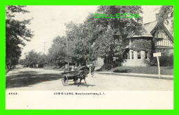SOUTHAMPTON, NY - JOB'S LANE - ANIMATED - ILLUSTRATED POST CARD CO - - Long Island