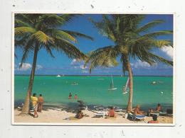 Cp , GUADELOUPE , SAINT FRANCOIS , Voyagée 1990 - Other & Unclassified