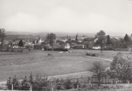 Belgique - Tintigny - Panorama - Edition Jeanty N° 1 - Tintigny