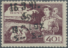 Dt. Besetzung II WK - Ukraine - Alexanderstadt: 1942, 5 R Auf 40 K Dunkelbraunlila, Type III, Ungebr - Besetzungen 1938-45