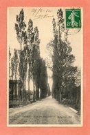 CPA - FEYZIN (69) - Thème : Arbre - Aspect De L'allée Des Peupliers En 1912 - Feyzin