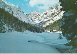 CHAMPEX-LAC. Le VAL D'ARPETTE. (ORSIERES) - Orsières