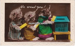 Three Cute Kittens Going To Vote. "We Want Yow". Real Photo Postcard. - Gatos