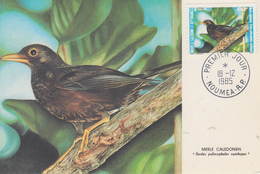 Carte  Maximum  1er Jour   NOUVELLE  CALEDONIE   Oiseaux  :  Merle  Calédonien  1985 - Tarjetas – Máxima