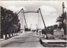 RISCLE. Le Pont Sur L'Adour - Riscle