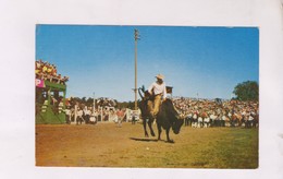 CPM RIDE EM COWBOY - Sonstige & Ohne Zuordnung