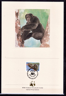 Sierra Leone 553 556 Chimpanzé FDC - Briefe U. Dokumente