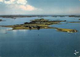 PIE-Arg-18-6762 : ILE D'ARZ. VUE AERIENNE. - Ile D'Arz