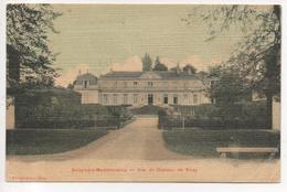 95.218/ SOISY SOUS MONTMORENCY - Vue Du Chateau De Soisy - Soisy-sous-Montmorency