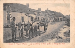 ¤¤   -   BRIGUEIL-le-CHANTRE   -  Les Chaumières Du Haut-Poitou Au Village Des VAUX  -  Attelage De Boeufs  -  ¤¤ - Autres & Non Classés