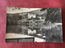 Deutschland Duitsland Germany Allemagne. Ilmenau. Ritzebühler Teich Mit Goetheschule - Ilmenau