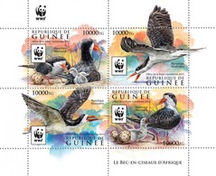 GUINEA 2015 SHEET WWF AFRICAN SKIMMER BIRDS BEC EN OISEAUX AFRIQUE AVES WILDLIFE Gu15525a - Guinée (1958-...)
