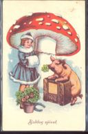 CPA MUSHROOMS, GIRL, PIG, HORSE SHOE, CLOVER, RADIO - Champignons