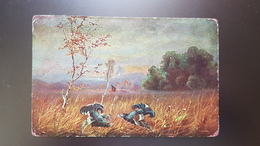 MULLER - Hunting Chasse - Black Grouse Bird - Old Vintage Postcard - Müller, August - München