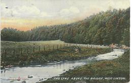 THE LYNE ABOVE THE BRIDGE - WEST LINTON - PEEBLESHIRE - WITH GOOD WEST LINTON POSTMARK - Peeblesshire