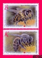 TRANSNISTRIA 2018 Nature Fauna Insects Bees Bee On Flower 2v MNH - Honingbijen