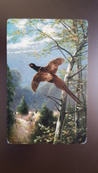 Mueller Style - Hunting Chasse - Pheasant Bird - Old Vintage Postcard - Mueller, August - Munich
