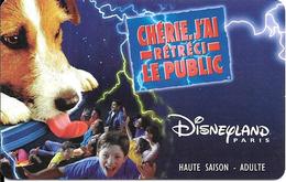 PASS-DISNEYLANDPARIS -1999-CHERIE J AI RETRECI LE PUB-ADULTE-V°VIOLET-Speos-2000/01/HOA-MKC VALIDE 1 JOUR-TBE- - Passeports Disney