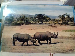 RINOCERONTE RHINOCEROS  STAMP TIMBRE SELO KENIA UGANDA TANZANIA  30 C Shell 1 OAU SUMMIT KAMPALA GX5745 - Rhinoceros