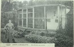 Lavoir De Brugelette Une Volière Au Jardin (Coin Su Gauche Plié) - Brugelette