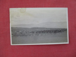 RPPC Animal Grazing Lite Color Photo Has Top Stain  Stamp & Cancel    North Dakota > --- Ref 3075 - Other & Unclassified