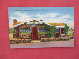 Petrified Forest Headquarters   Bad Lands   North Dakota > Ref 3076 - Sonstige & Ohne Zuordnung