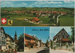 Hallau - Multiview - Hallau