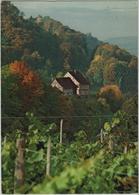 Blick Auf Hinterburg In Salenstein -. Photo: Hans Baumgartner - Salenstein