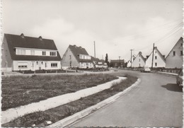 LAMBUSART  AVENUE DE L'EUROPE - Fleurus