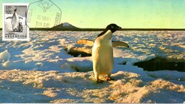 ARGENTINE. PA 82 De 1961 Sur Carte Maximum. Manchot. - Antarktischen Tierwelt