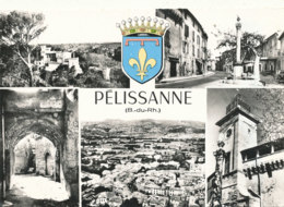 13 // PELISSANNE    MULTIVUES  / CPSM GRAND FORMAT - Pelissanne