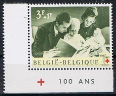 Belgie OCB PU 197 (**) - Nuovi