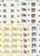 1996. Tajikistan,  WWF, Wild Cats, 6 Sheetlets Of 10v, Mint/* - Tadzjikistan