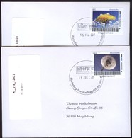 Biber Post, 2 Gelaufene FDC 0,60 Löwenzahn  V. 15.02.2017 #1711 - Private & Local Mails