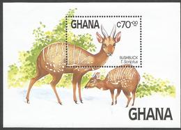 Ghana 1984 Buschbuck Tragelaphus Scriptus Michel Block 112 Mint - Ghana (1957-...)