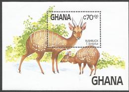 Ghana 1984 Buschbuck Tragelaphus Scriptus Michel Block 112 Mint - Animalez De Caza
