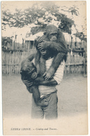 SIERRA LEONE - Colaboy And Tommy - Garçon Et Chimpanzés - Sierra Leone