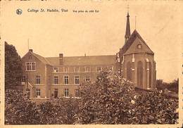 Visé - Collège St Hadelin - Vue Prise Du Côté Est (Edit. Thill) - Wezet